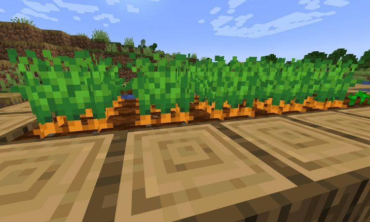 3 cách kiếm cà rốt trong Minecraft nhanh chóng