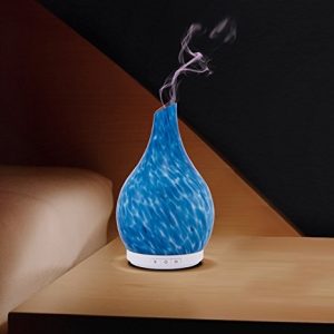 Bình khuếch tán tinh dầu Aromatherapy Essential Oil Glass