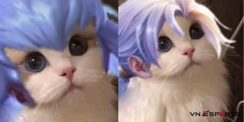 Ảnh mèo cosplay Allain liên quân chế (2)