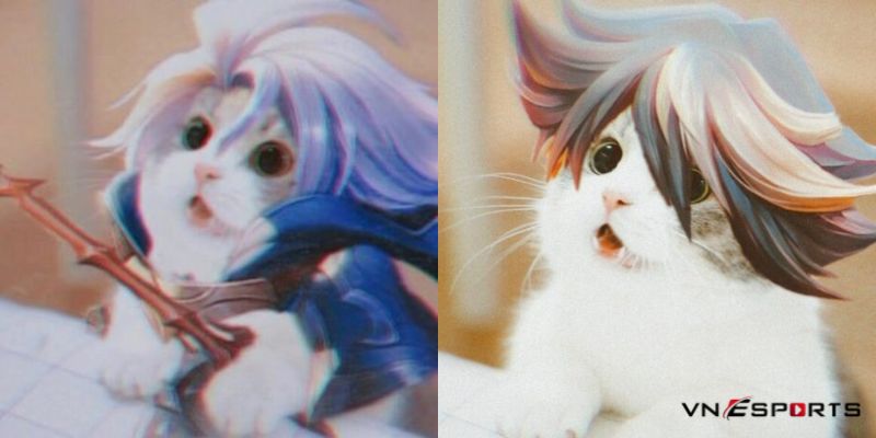 Ảnh mèo cosplay Allain liên quân chế (1)