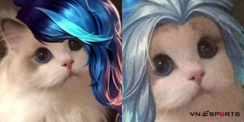 Ảnh mèo cosplay liên quân Natalya
