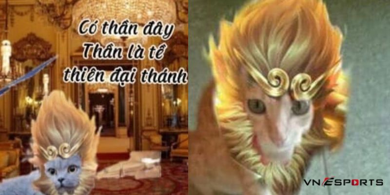 Ảnh mèo chế liên quân cosplay Ngộ Không