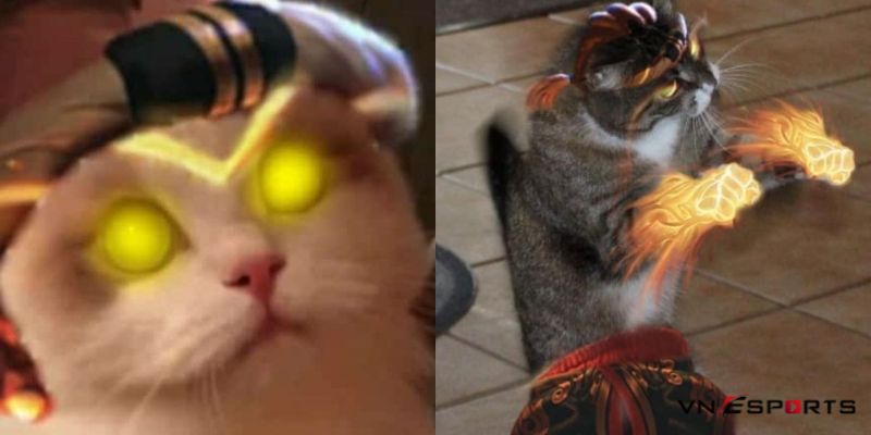 Cosplay mèo liên quân Raz chế