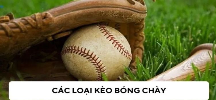 bong-chay-4 Lợi ích khi cá cược bóng chày tại HB88