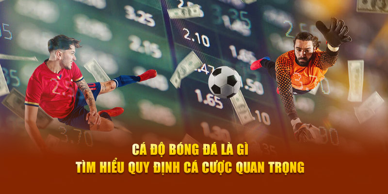 ca-do-bong-da-la-gi-tim-hieu-quy-dinh-ca-cuoc-quan-trong