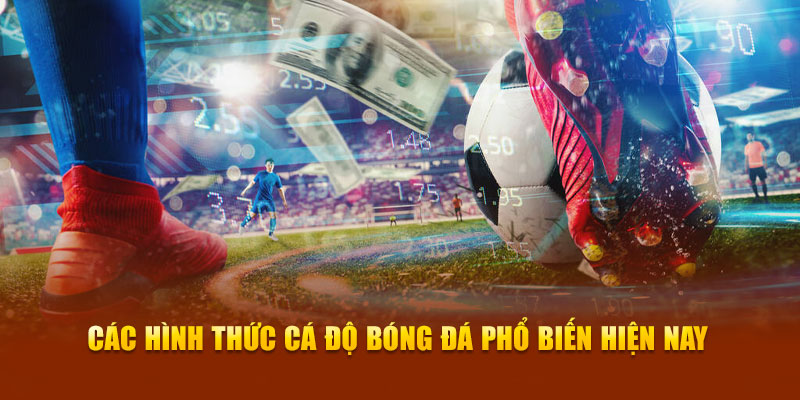 cac-hinh-thuc-ca-do-bong-da-pho-bien-hien-nay