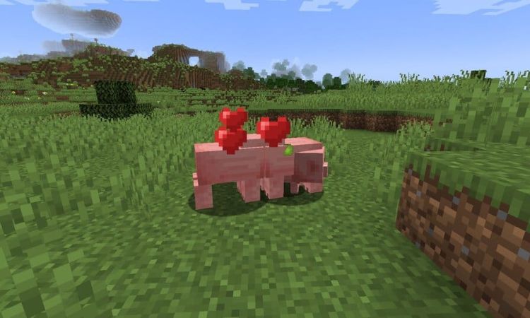 Hướng dẫn chi tiết cách nuôi heo trong Minecraft