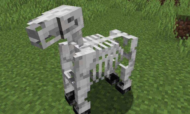 diem-khac-biet-giua-ngua-xuong-va-ngua-thuong-minecraft Điểm khác biệt giữa ngựa xương và ngựa thường Minecraft