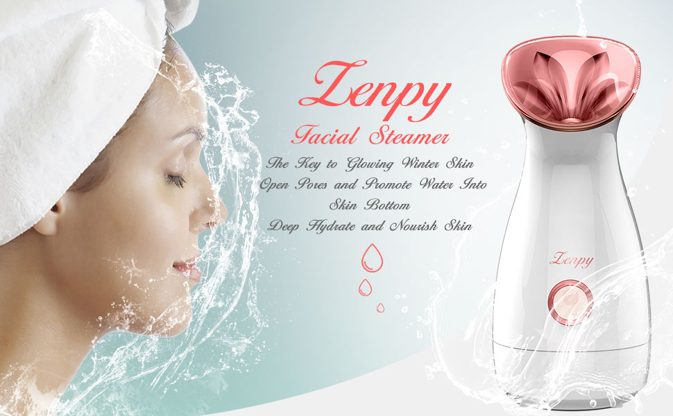 f13d3dba-f219-466c-8484-511fbd096db6-_cr00970600_pt0_sx970__ face steamer