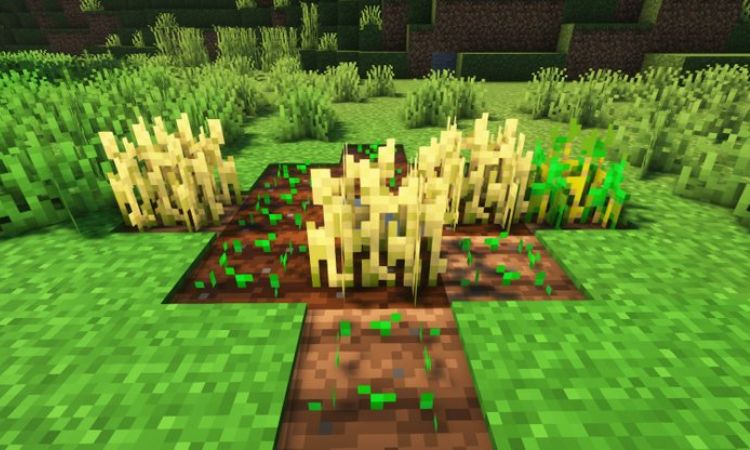 Giải đáp thắc mắc cừu trong Minecraft ăn gì?