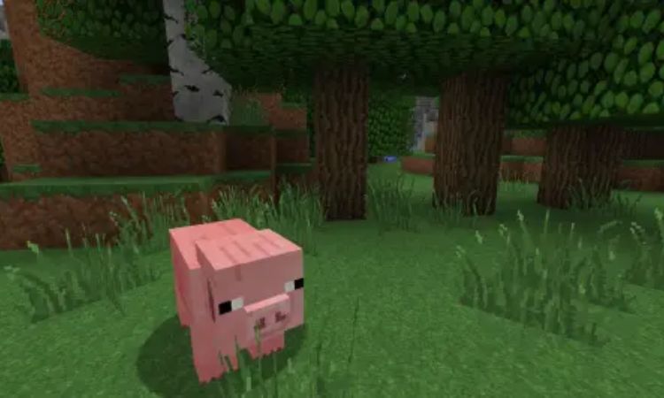 Giới thiệu về heo trong game Minecraft