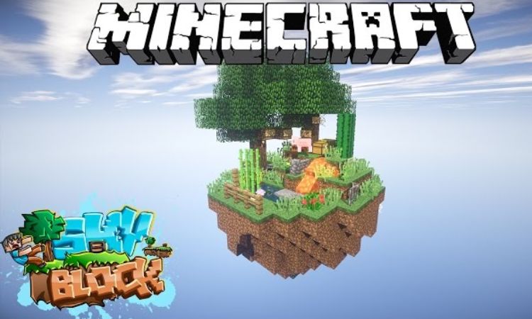 Giới thiệu về ranks Minecraft server