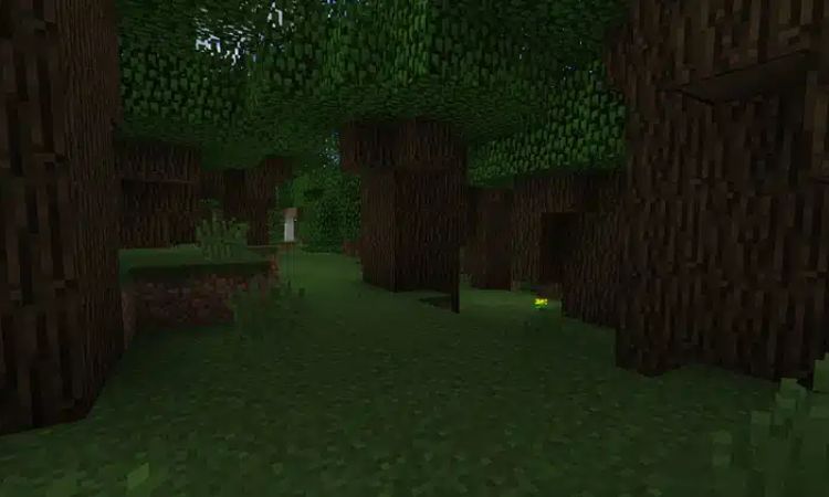 go-soi-la-cay-dau-tien-xuat-hien-trong-cac-loai-go-trong-minecraft Gỗ sồi là cây đầu tiên xuất hiện trong các loại gỗ trong Minecraft