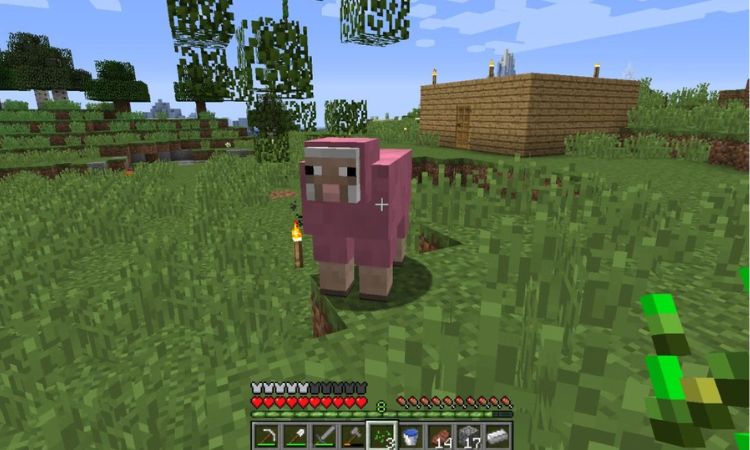 hat-giong-trong-game-minecraft-la-gi Hạt giống trong game Minecraft là gì?