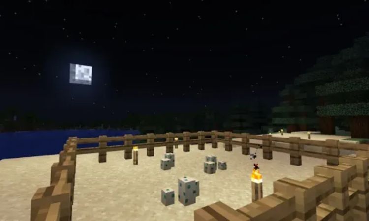 huong-dan-cach-ap-trung-rua-trong-minecraft Hướng dẫn cách ấp trứng rùa trong game Minecraft