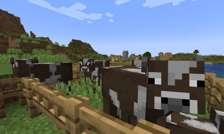 huong-dan-cach-nuoi-bo-trong-minecraft-hieu-qua Hướng dẫn cách nuôi bò trong Minecraft hiệu quả