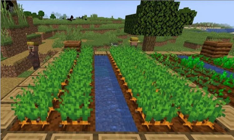 Hướng dẫn cách trồng cà rốt trong Minecraft cho game thủ