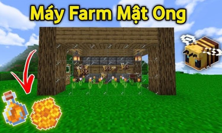 Hướng dẫn chế tạo máy farm mật ong
