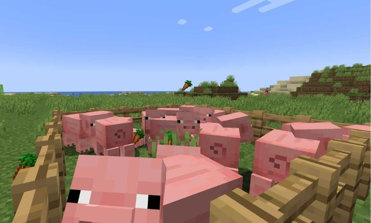 Hướng dẫn quy trình nhân giống heo trong Minecraft