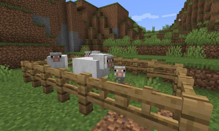 Hướng dẫn thuần hóa cừu trong Minecraft