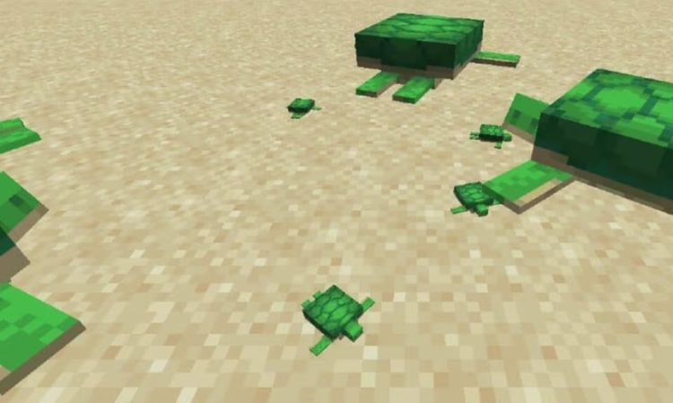 loi-giai-dap-cho-cau-hoi-rua-trong-minecraft-an-gi Lời giải đáp cho câu hỏi rùa trong Minecraft ăn gì?