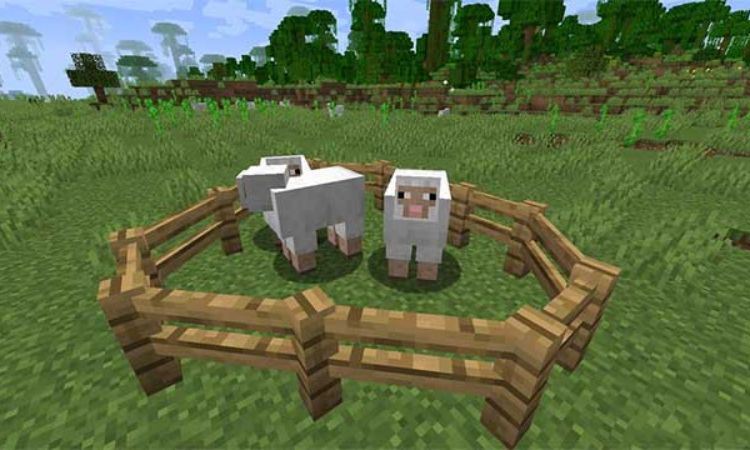 ly-do-nguoi-choi-nen-biet-cach-lam-hang-rao-trong-minecraft Lý do người chơi nên biết cách làm hàng rào trong Minecraft?