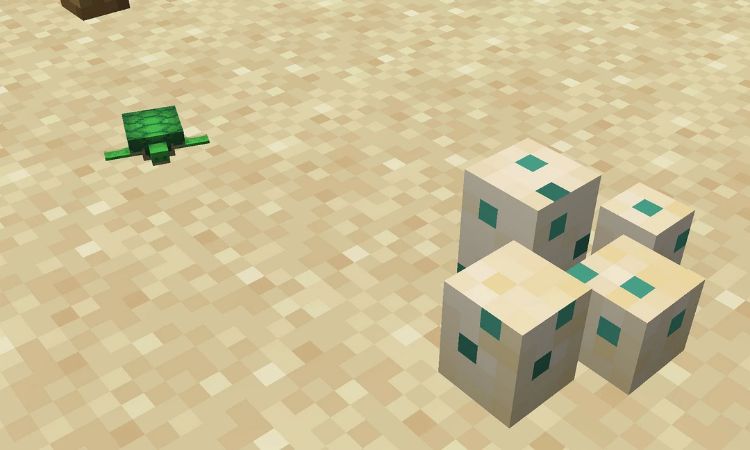 nhung-cong-dung-cua-trung-rua-minecraft Những công dụng của trứng rùa Minecraft