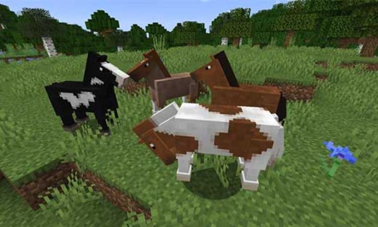 nhung-dieu-can-biet-ve-ngua-minecraft1 Những điều cần biết về ngựa Minecraft