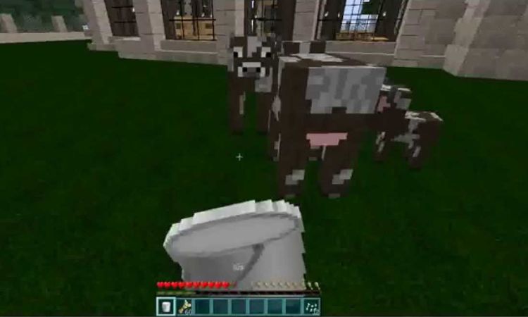 qua-trinh-lay-sua-bo-trong-game-minecraft Quá trình lấy sữa bò trong game Minecraft