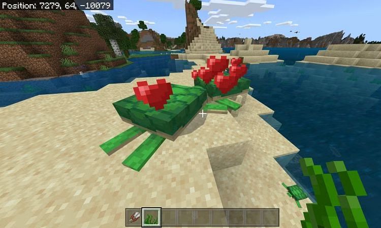 qua-trinh-nhan-giong-rua-minecraft Quá trình nhân giống rùa Minecraft