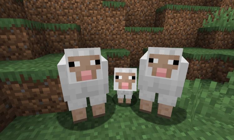 Quá trình sinh sản của cừu trong game Minecraft
