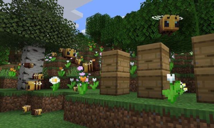 Quy trình tìm và lấy tổ ong Minecraft