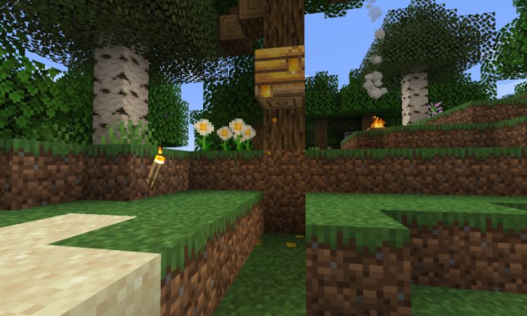 Thu hoạch mật ong trong cách nuôi ong trong Minecraft