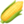 🌽