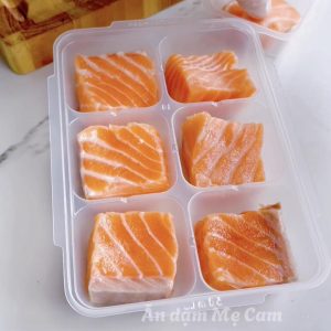 Khay, hộp trữ đông Richell trữ thức ăn cho bé ăn dặm