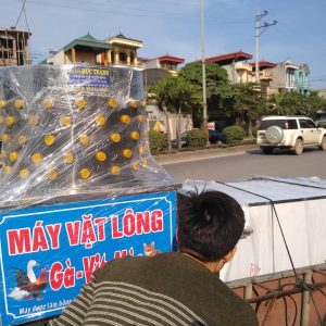 may-vat-long-ga-vit-100-inox-phi-50cm-phi-55cm-phi-60cm