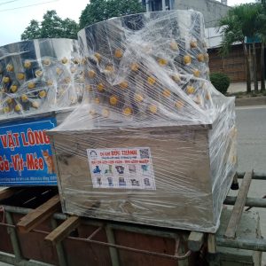 may-vat-long-ga-vit-100-inox-phi-50cm-phi-55cm-phi-60cm