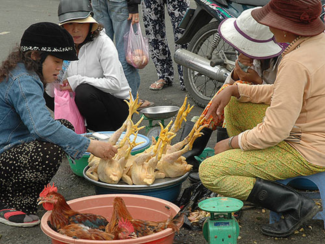 vặt lông gà bằng tay "đau lưng mỏi gối" mua-may-vat-long ga