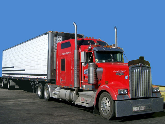 cap-giay-phep-lai-xe-container-o-VN-3